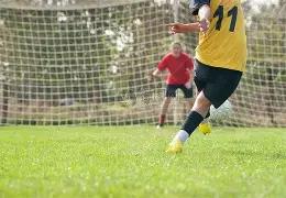 广州车展,星途汽车全,阵容亮相,乐鱼体育官网,乐鱼体育直播,体育赛事直播,足球直播