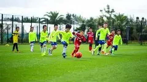 乐鱼体育 产品 093215 wms