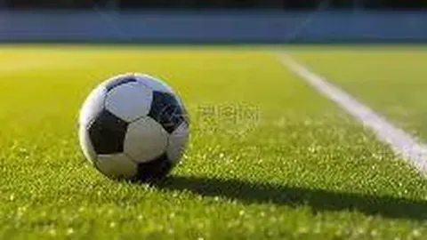 乐鱼体育 产品 093113 lm5