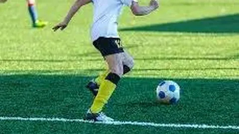 乐鱼体育 资讯 093006 0tb