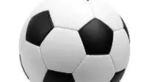 虾塘重金属危害解析及高手全面解决方案揭秘！